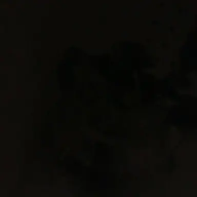 Profile image of 이민형