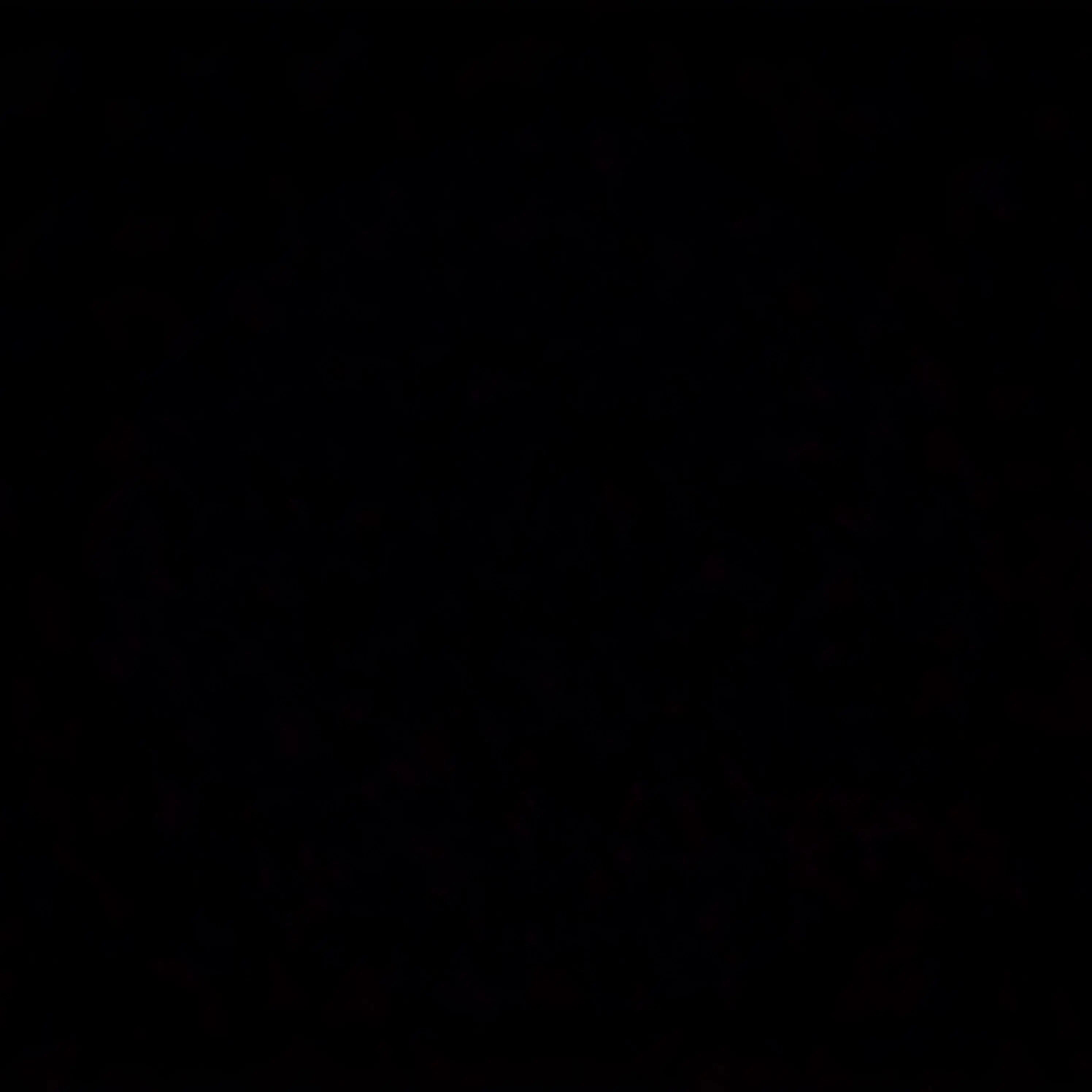 srkkkdoor의 보넥도 패밀리