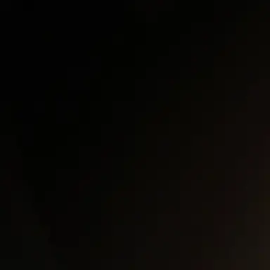 Profile image of 한동민