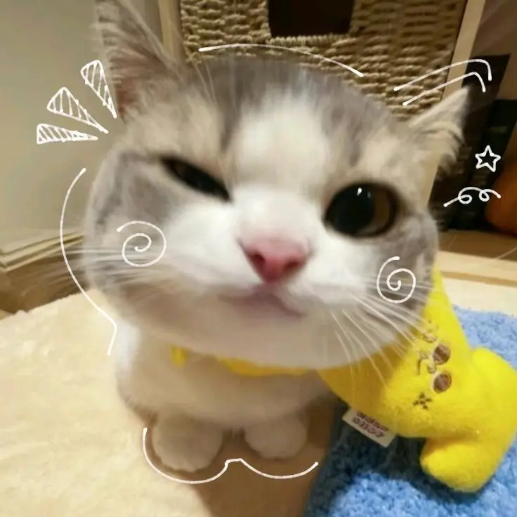 PluckyPig2158의 ㅋㄹㅂㅌ 형준 되기
