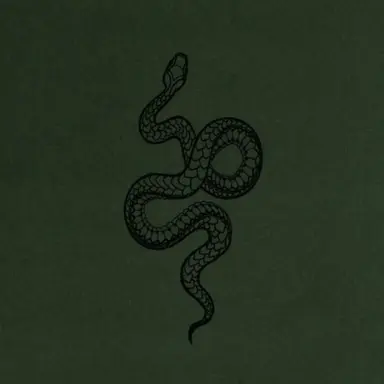 Profile image of Draco