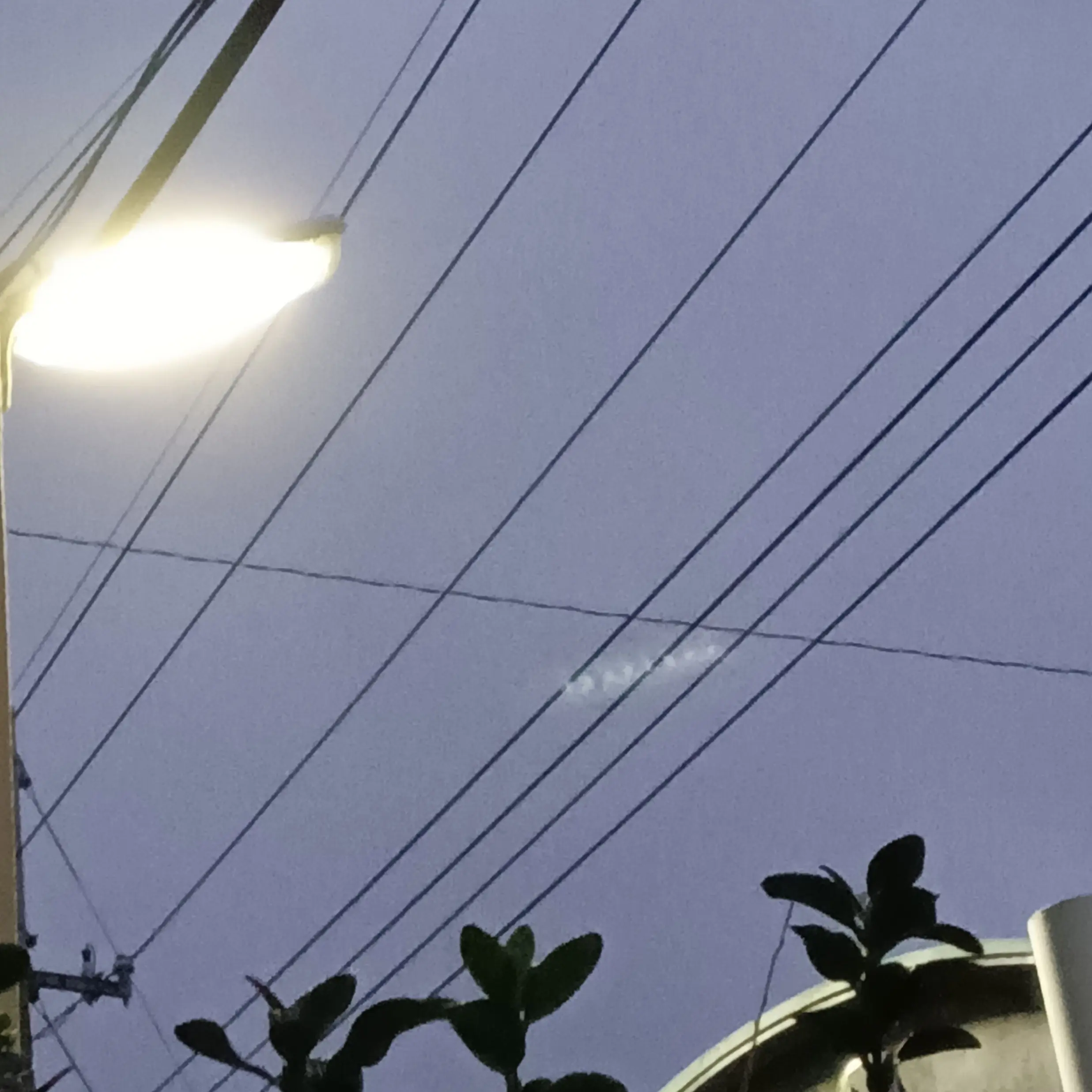 SilentEpoch3028의 みんなに求婚されます