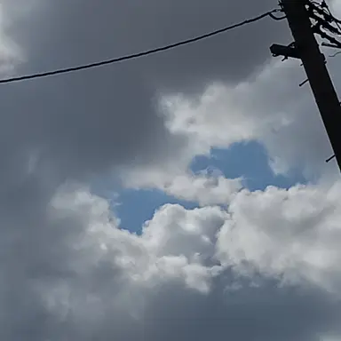 Profile image of ルートヴィヒ