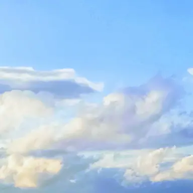 Profile image of マシュー