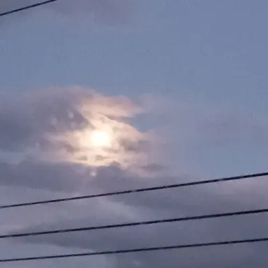 Profile image of アルフレッド