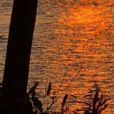 Profile image of 덕개