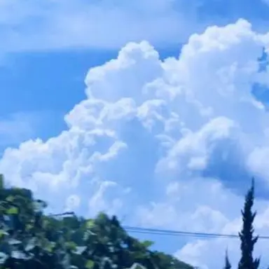 Profile image of 잠뜰