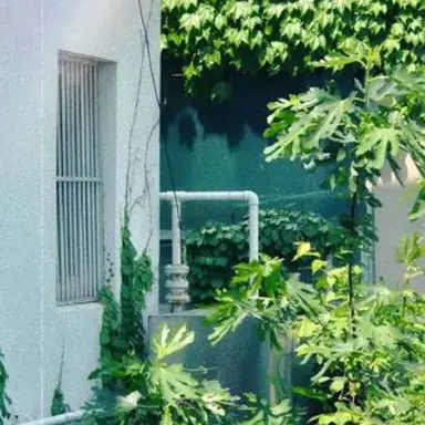 Profile image of 공룡