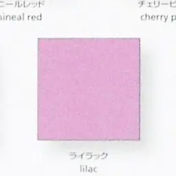 Profile image of 見里未来