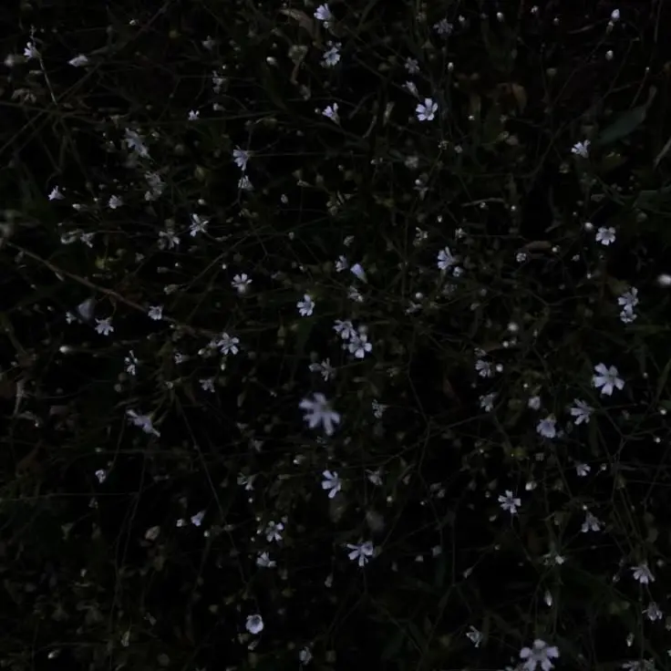 so.mongle의 윤정한