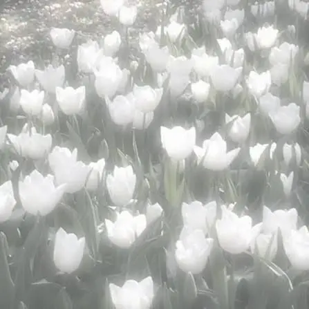 InlandUrine0567의 베이비 폭군