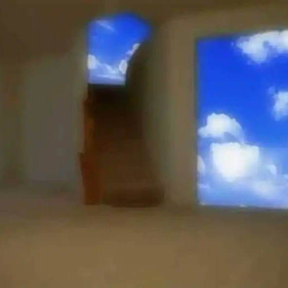 規制済