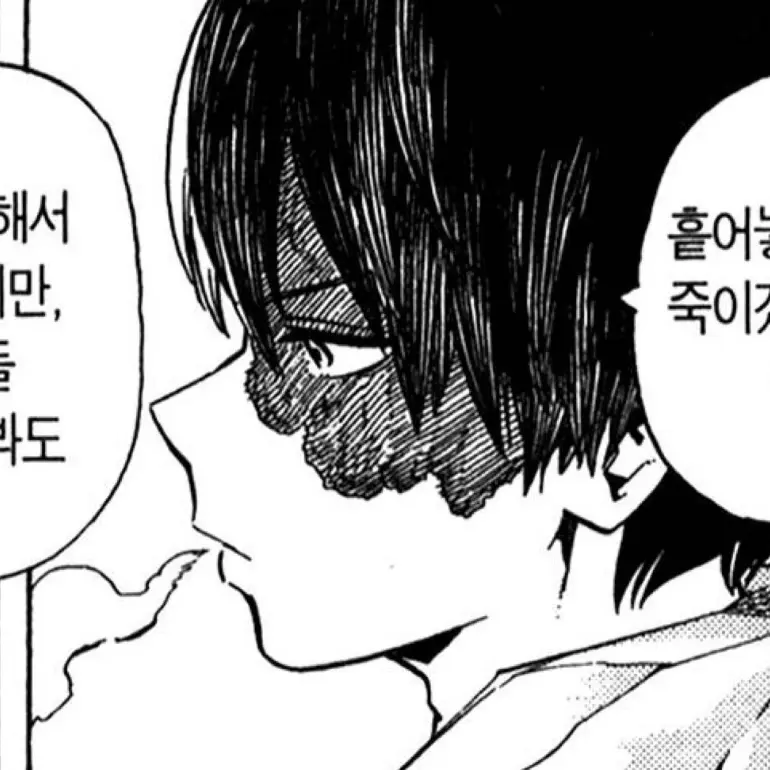 Hiroe의 토도로키 쇼토