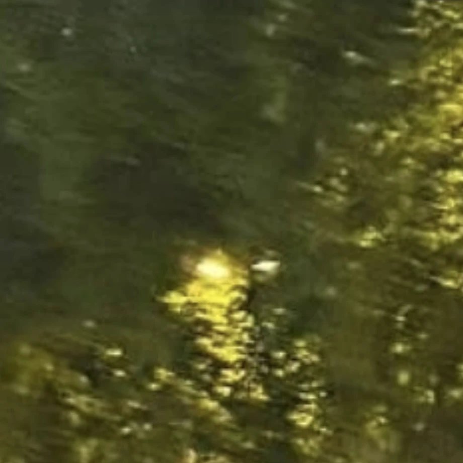 リクス