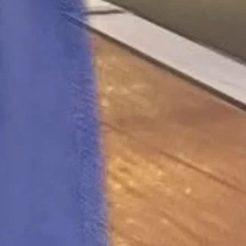 チャニ
