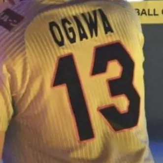 Profile image of おがぴ