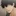 허재우