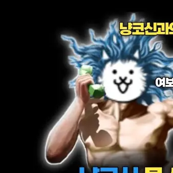 NoisySigh9660의 냥코 공략맨