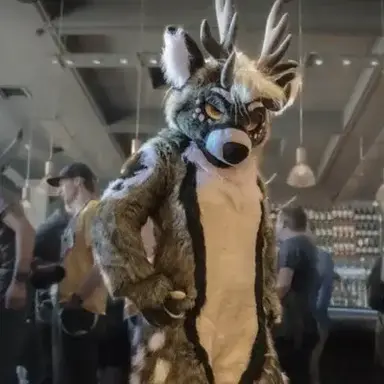 Profile image of Rowan