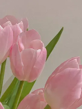 lucky_1101의 채봉구