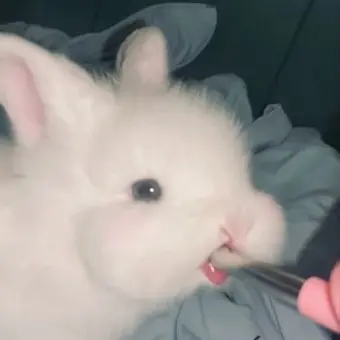 jimin0622의 쮸밍