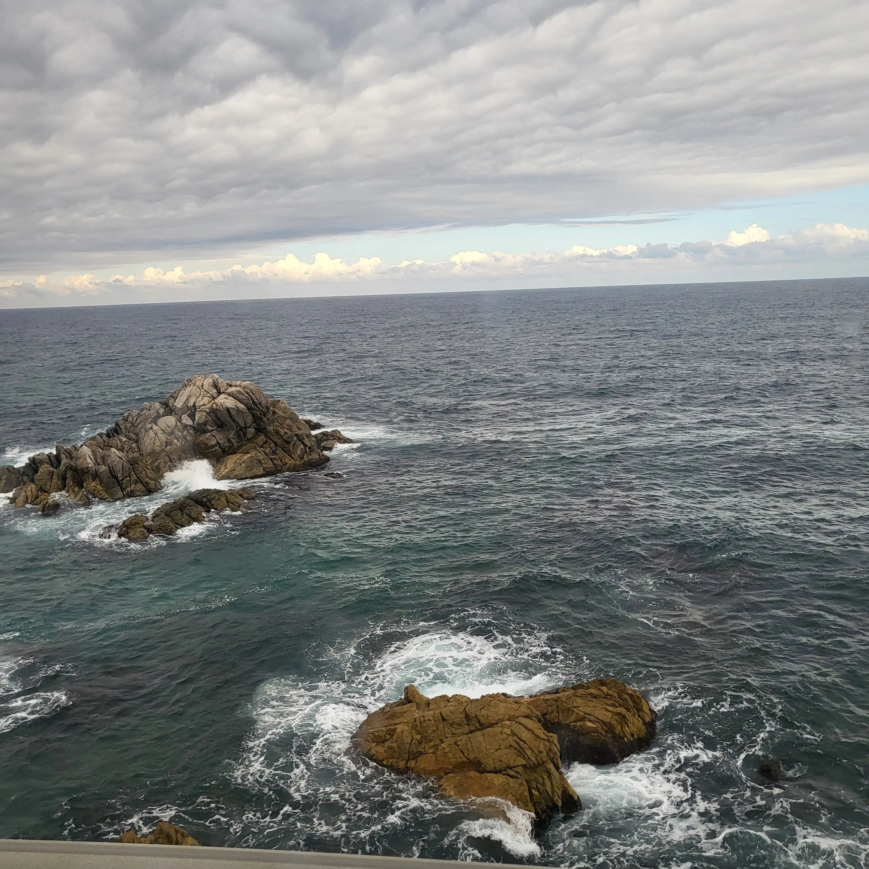 FestalKoala3538의 학교