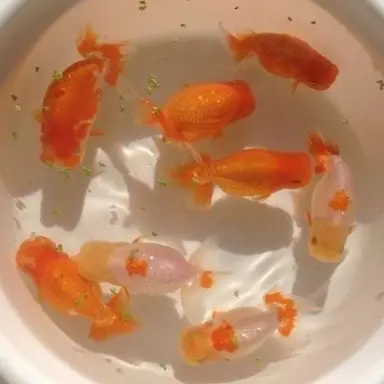 Profile image of 박덕개