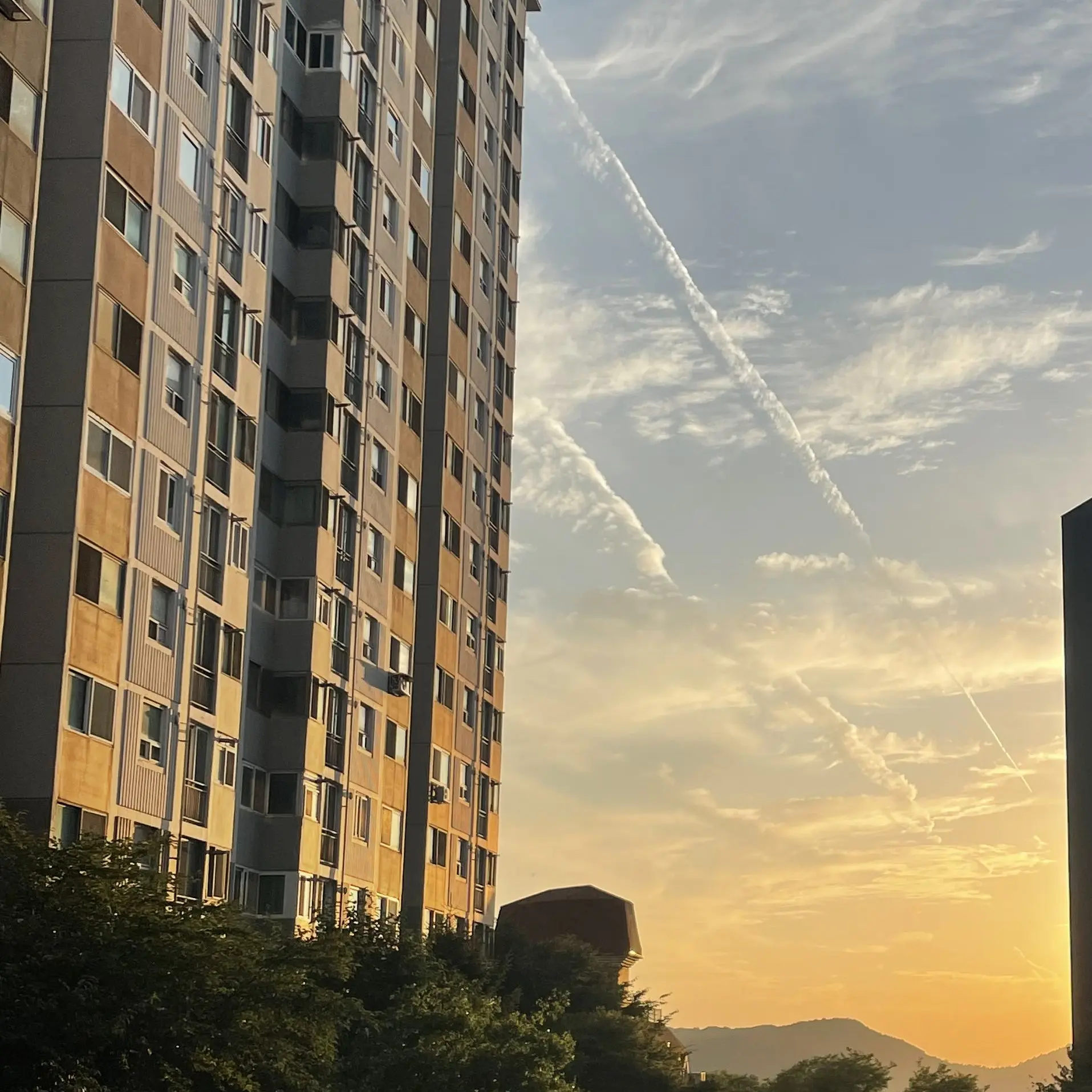 4clover_12의 하핫, 주인님 조금 더 있어줘요