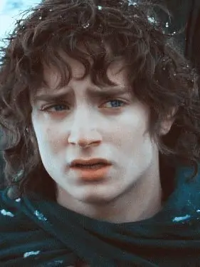 Wy_Vern의 Frodo Baggins