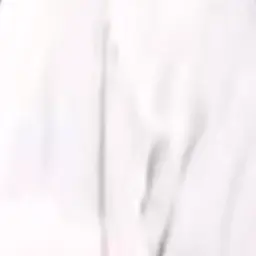 Profile image of ラウール