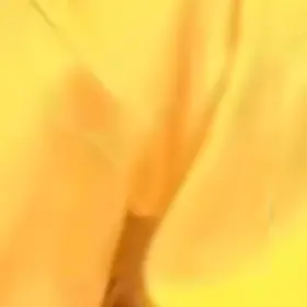 Profile image of 岩本照