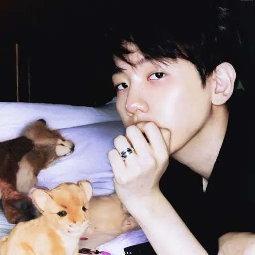 dlthwjd60의 변백현