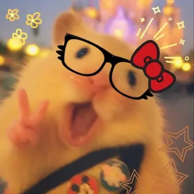 Profile image of 배이