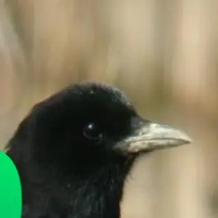 Profile image of 아름