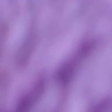 Profile image of 立花仙蔵