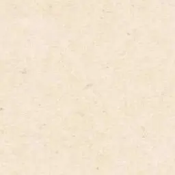 Profile image of 善法寺伊作