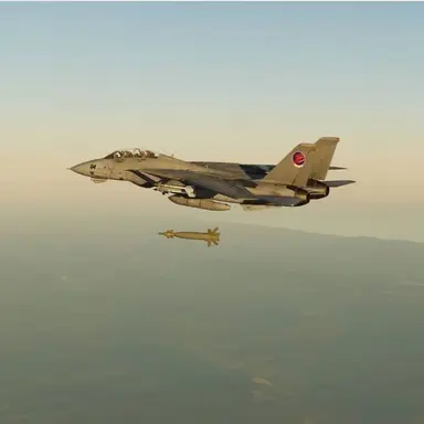 Profile image of Tomcat