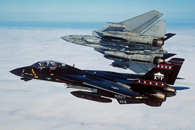 Profile image of Tomcat