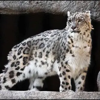 Profile image of 카일