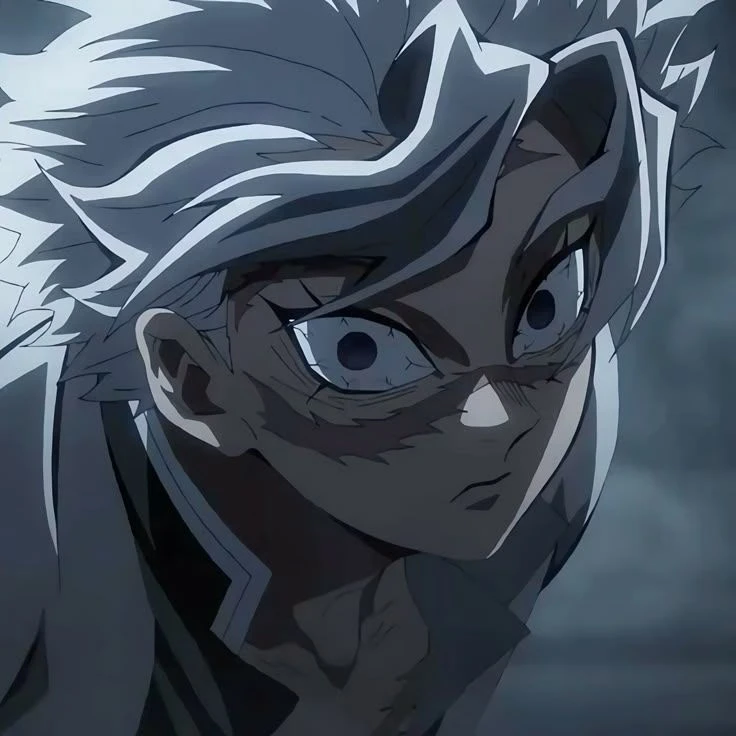 시나즈가와 사네미