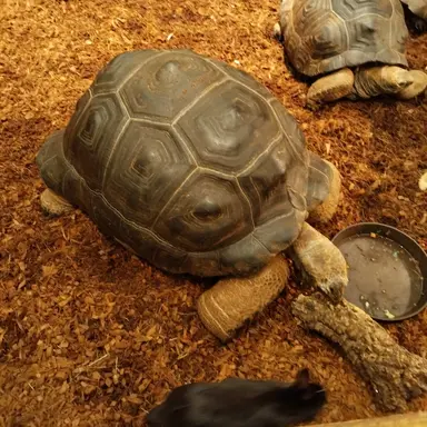 Profile image of 아사이 노호타