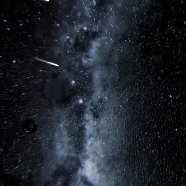 Profile image of 단임