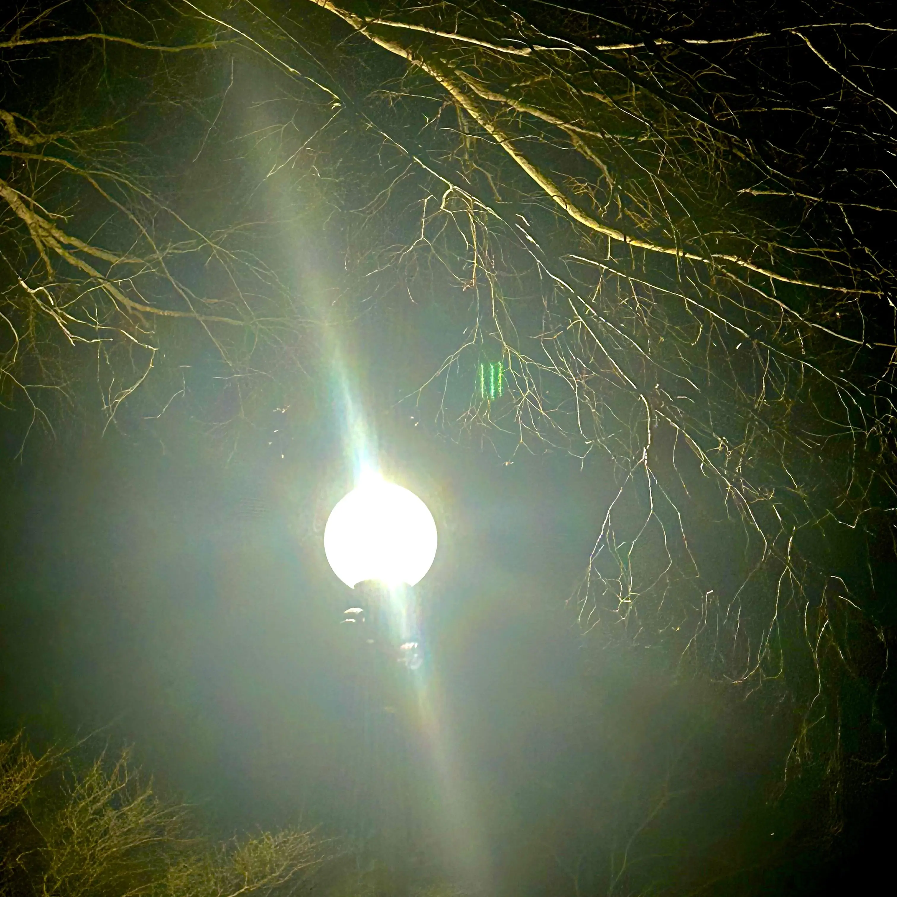 SnowyShirt0404의 수호천사