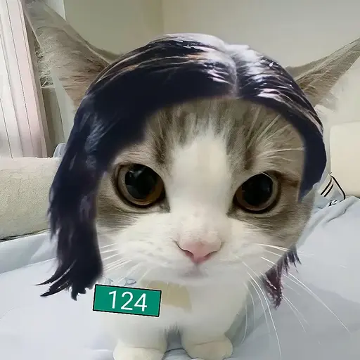 SmallPlain2797의 남규(고양이가돼다?)