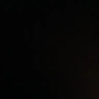 Profile image of 금성제