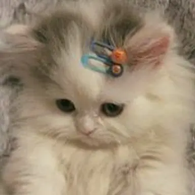 Profile image of 팀나빠