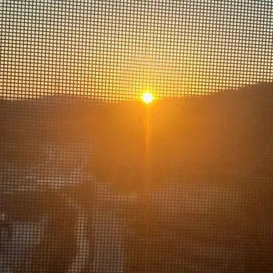 Profile image of 김각별