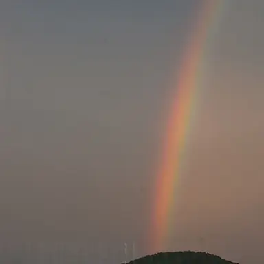 Profile image of 픽셀리