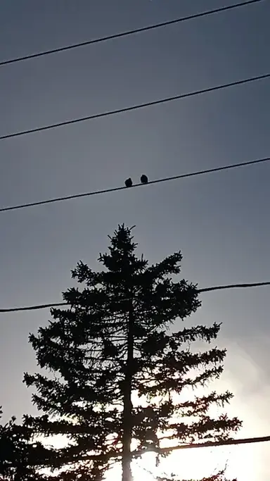 Profile image of Josef