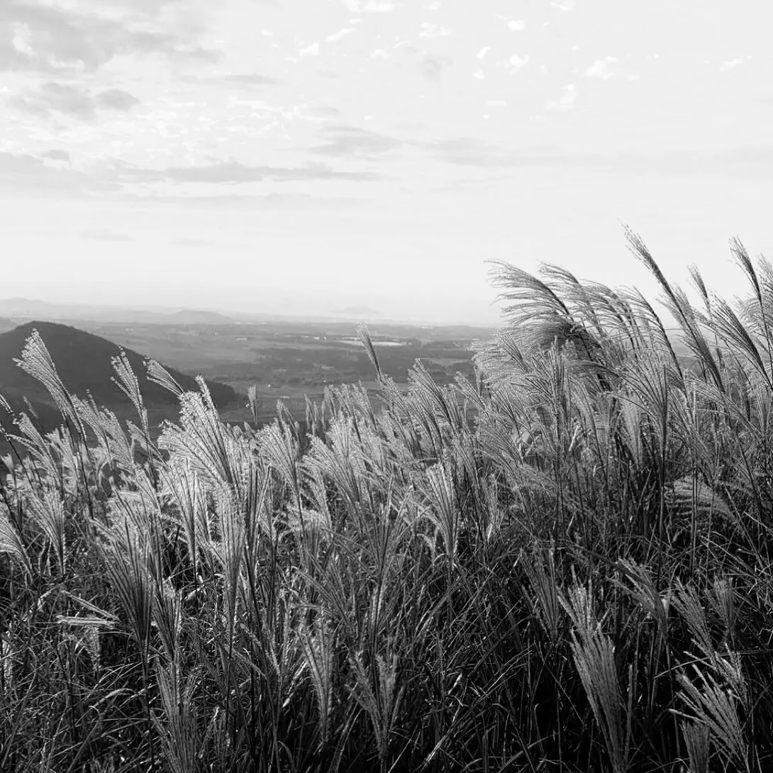 shoto_love_의 도소빈 _ 귀농